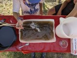atelier tataki-zome avec les enfants à ADN Laine 71220 Pressy sous Dondin en Bourgogne du sud