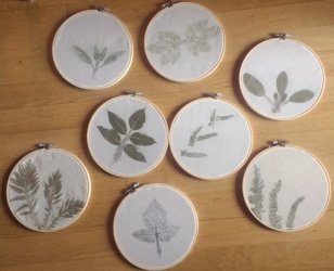 Stage Tataki-zome, Hapazome, plantes à tanins, teinture végétale, ADN Laine 71220 pressy sous dondin, en Bourgogne du Sud