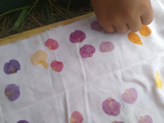 Pétales de fleurs pour frappage de plantes, Hapazome ou tataki-zomé 