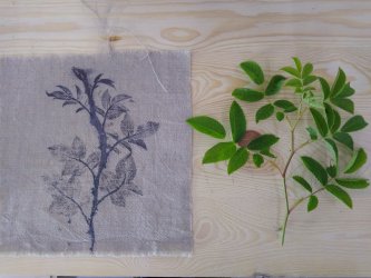 Stage Tataki-zome, Hapazome, plantes à tanins, teinture végétale, ADN Laine 71220 pressy sous dondin, en Bourgogne du Sud