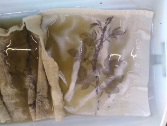 Stage Tataki-zome, Hapazome, plantes à tanins, teinture végétale, ADN Laine 71220 pressy sous dondin, en Bourgogne du Sud