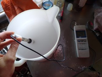 Prendre le pH du lait de chaux pour l'extraction de l'indigo des feuilles de pastel des teinturiers (isaatis tinctoria) inture végétale, stage extraction du pigment indigo à ADN Laine 71220 Pressy sous dondin en sud bourgogne 
