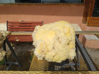 formation tri des toisons et lavage de laine de brebis à ADN Laine 71220 Pressy sous dondin, en sud Bourgogne
