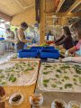 Stage de teinture naturelle ecoprint à ADN Laine 71220 Pressy-sous-Dondin en Bourgogne du Sud, à 1h15 de Lyon et 1h30 de Dijon 